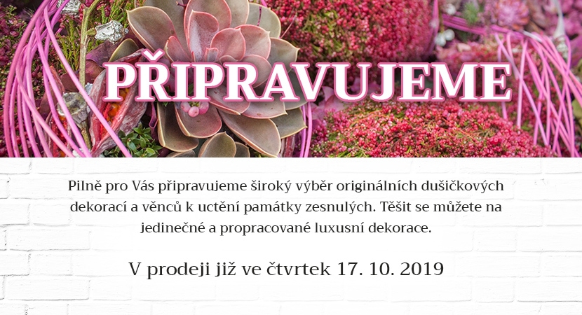 dusicky_pripravujeme_web.jpg