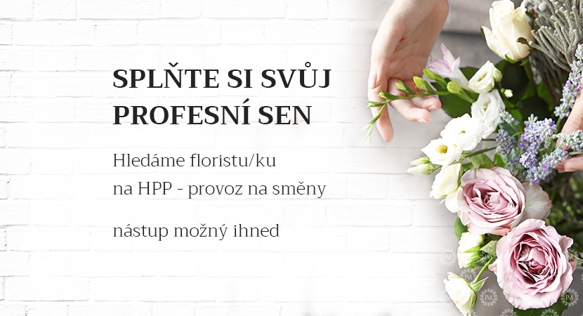 pracovni_pozice_web.jpg