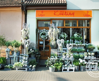 1856-DSC_0798.jpg