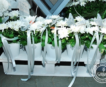 1871-DSC_0816.jpg