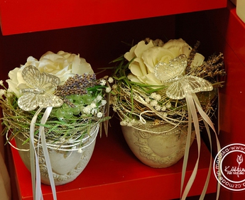 1908-DSC_0854.jpg