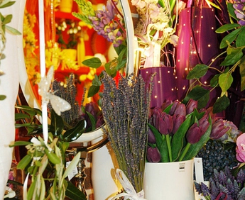 1926-DSC_0869.jpg