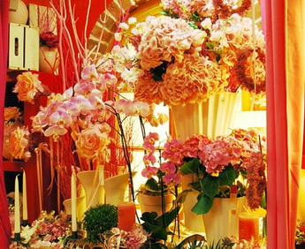 1931-DSC_0876.jpg
