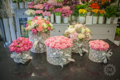 flowerbox 02