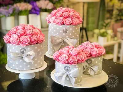 flowerbox 20