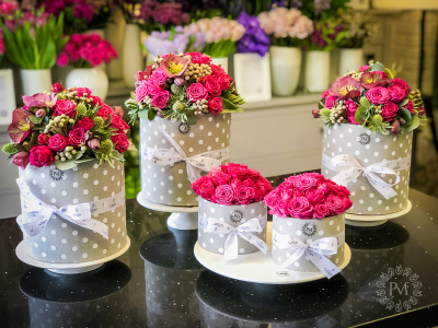 flowerbox  21