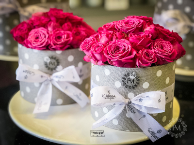 flowerbox 22